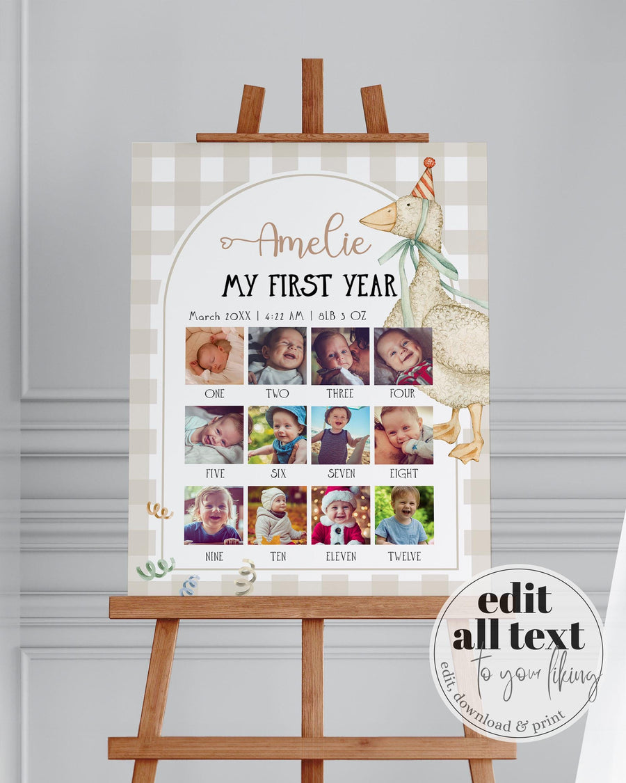 One Silly Goose First Year Photo Board, Neutral Birthday Milestone Template 004SG-MISI-PI - marryful.org
