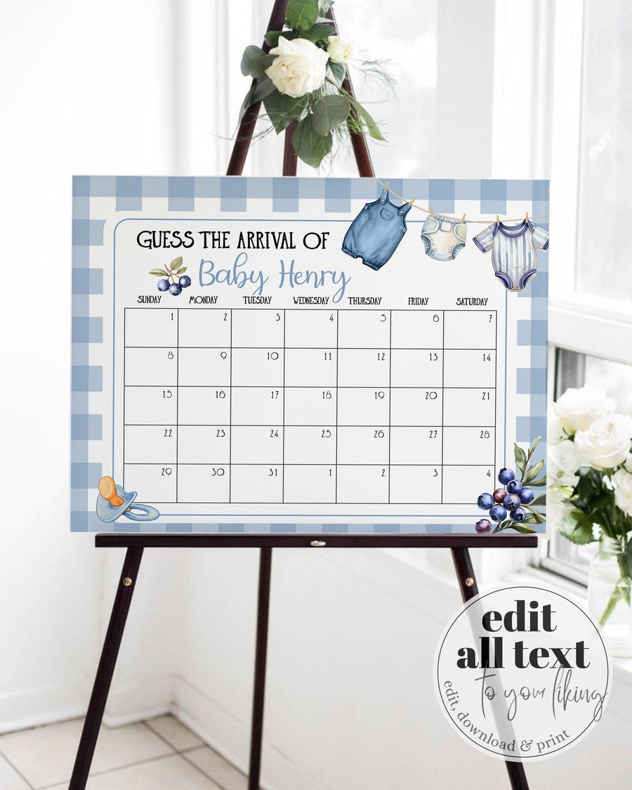 Berry Sweet Baby Arrival Sign Boy Blueberry Baby Brunch Guess Due Date Game Sign Gingham Clothes Line Printable Decorations Template #068 - marryful.org