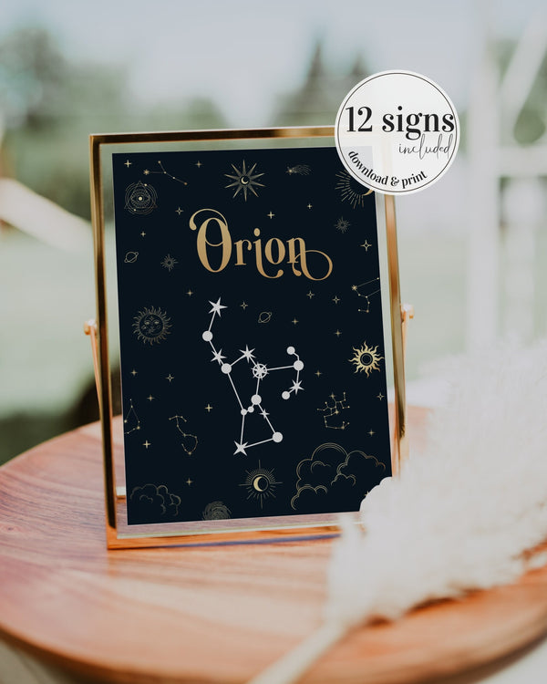 12 Constellations Table Numbers Wedding Seating Sign Celestial Wedding Decorations #063 - TheLovebirdsDesign