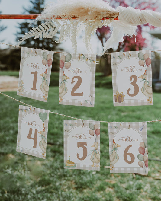 One Silly Goose Gender Neutral Table Numbers for First Birthday, Boys Silly Goose Themed Decor Guest Seating Table Numbers Template #068 - TheLovebirdsDesign