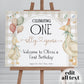 One Silly Goose Welcome Sign, Editable Silly Goose First Birthday Welcome Sign Natural Retro Theme Party Decorations Printable Template #068 - TheLovebirdsDesign