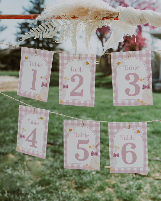 One Silly Goose Table Numbers for Girl First Birthday, Silly Goose Themed Decoration Guest Seating Table Numbers Editable Template #068 - TheLovebirdsDesign