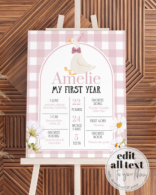 One Silly Goose Baby First Year Milestone Sign, Silly Goose My 1st Year Milestone Board, Lucky Duck Themed Party Decor Template #068 - TheLovebirdsDesign