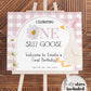 One Silly Goose Welcome Sign Pink 1st Birthday, Editable Silly Goose First Birthday Welcome Sign Lucky Duck Theme Party Decor Template #068 - TheLovebirdsDesign