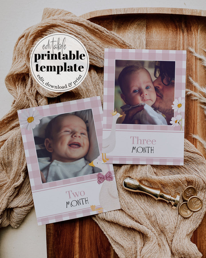 ONE Silly Goose Milestone Baby Monthly Stats, One lucky Duck 12 Month Photo Signs Baby Photo Board, 1st Birthday Decoration Template #068 - TheLovebirdsDesign