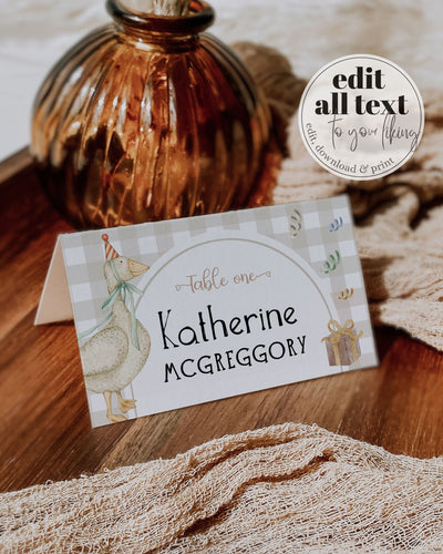 One Silly Goose Gender Neutral Place Cards for First Birthday, Boys Silly Goose Themed Food Labels Natural Decor Printable Template #068 - TheLovebirdsDesign