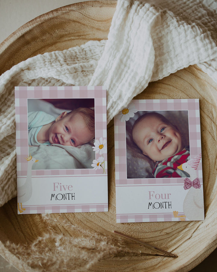 ONE Silly Goose Milestone Baby Monthly Stats, One lucky Duck 12 Month Photo Signs Baby Photo Board, 1st Birthday Decoration Template #068 - TheLovebirdsDesign