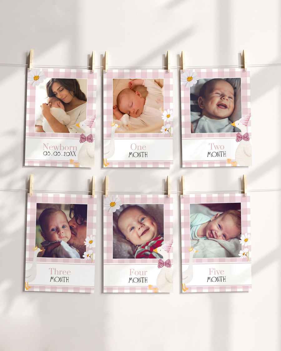 ONE Silly Goose Milestone Baby Monthly Stats, One lucky Duck 12 Month Photo Signs Baby Photo Board, 1st Birthday Decoration Template #068 - marryful.org