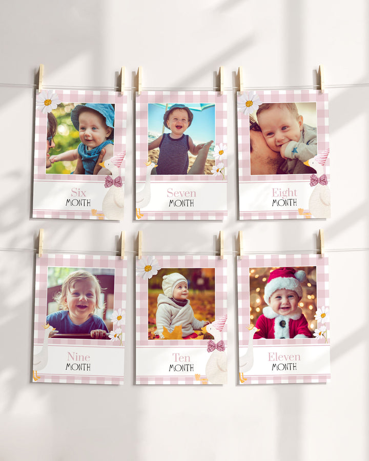 ONE Silly Goose Milestone Baby Monthly Stats, One lucky Duck 12 Month Photo Signs Baby Photo Board, 1st Birthday Decoration Template #068 - TheLovebirdsDesign