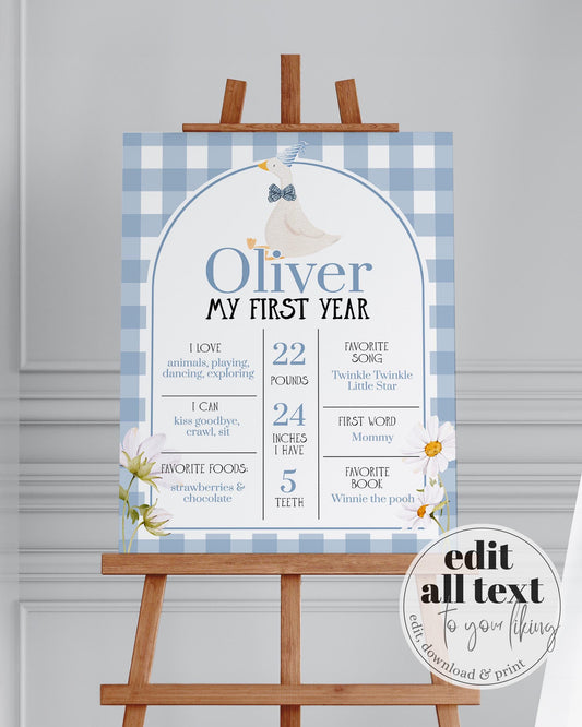 One Silly Goose Baby First Year Milestone Sign, Blue Silly Goose My 1st Year Milestone Board Boys, Lucky Duck Party Decor Template #068 - TheLovebirdsDesign