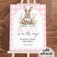 Pink Bunny Welcome Sign, Some Bunny on the way Baby Shower Sign Rabbit Easter Decorations Sign Gingham Bunny 1st Birthday Sign Template #068 - TheLovebirdsDesign