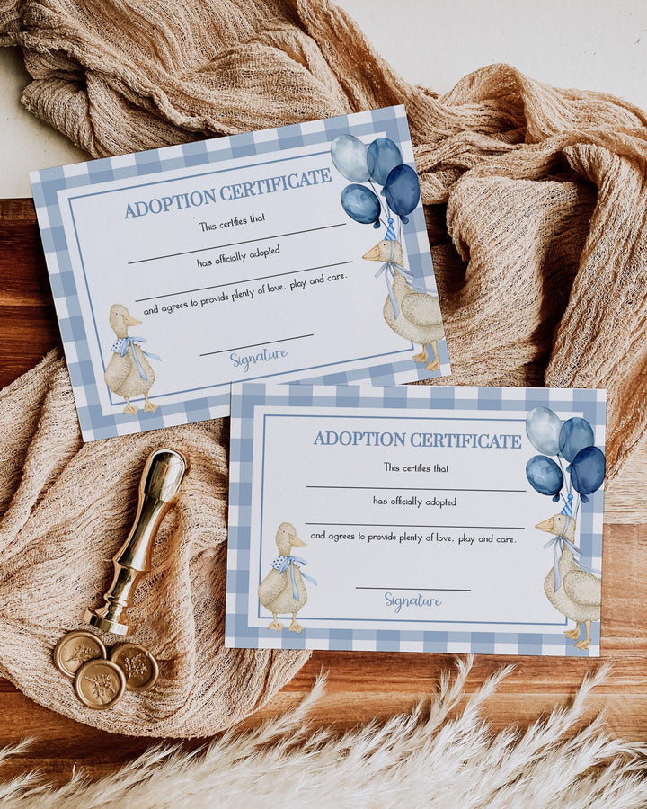 One Silly Goose Blue Adoption Party Game Certificate Boys First Birthday Decorations, Adopt a Pet Party Decor Printable Template #068 - TheLovebirdsDesign