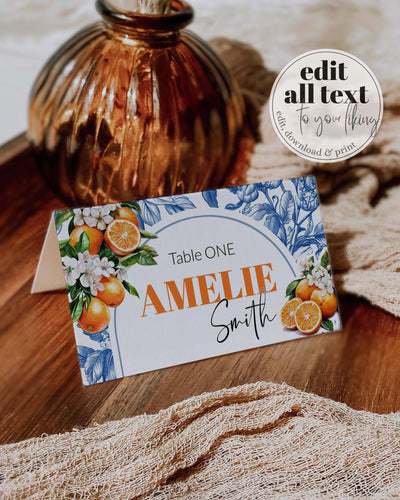 Orange Toile Place Cards, Mediterranean Positano Food Labels for Cutie Baby Shower 102OR-PLCA - marryful.org
