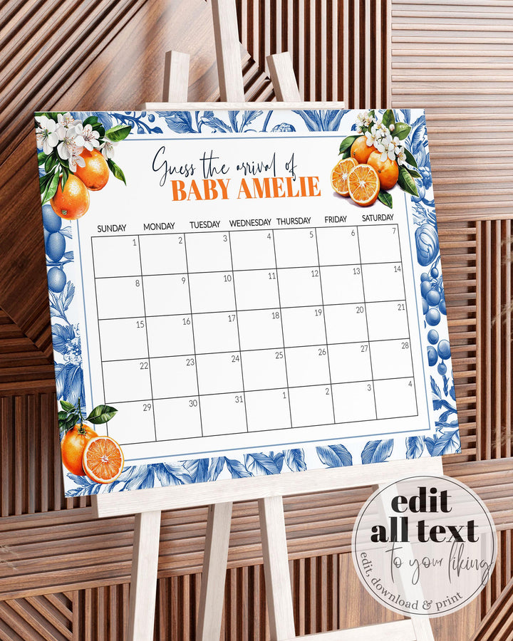 Little Cutie Baby Arrival Game Sign Orange Amalfi Coast Baby Shower Decoration Guess due date Sign Mediterranean Baby Shower Template #072 - TheLovebirdsDesign