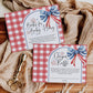 Charming gender-neutral baby shower invitation template with a classic gingham pattern, complete with fireworks graphics and a ribbon embellishment, ideal for a summer celebration.