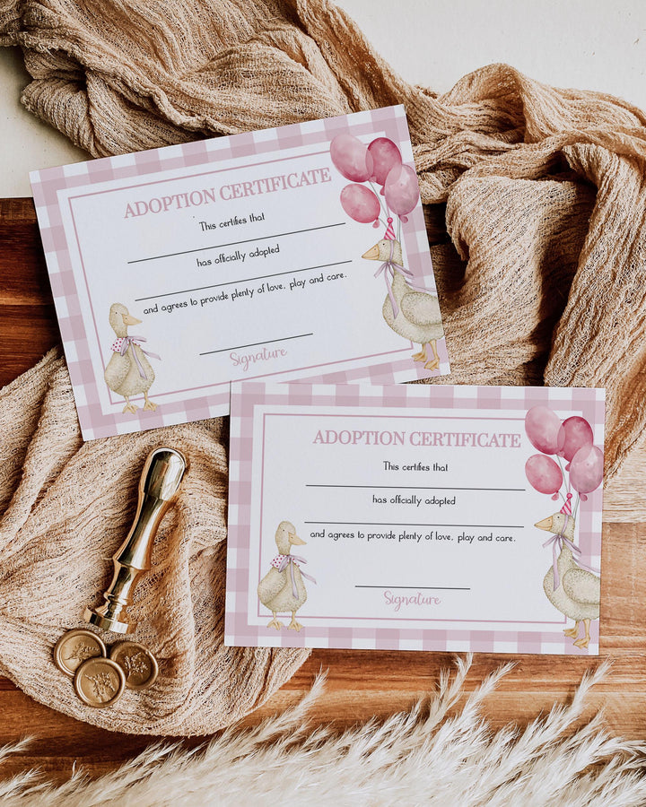 One Silly Goose Blue Adoption Party Game Certificate Girls First Birthday Decorations, Pink Adopt a Pet Party Decor Printable Template #068 - TheLovebirdsDesign
