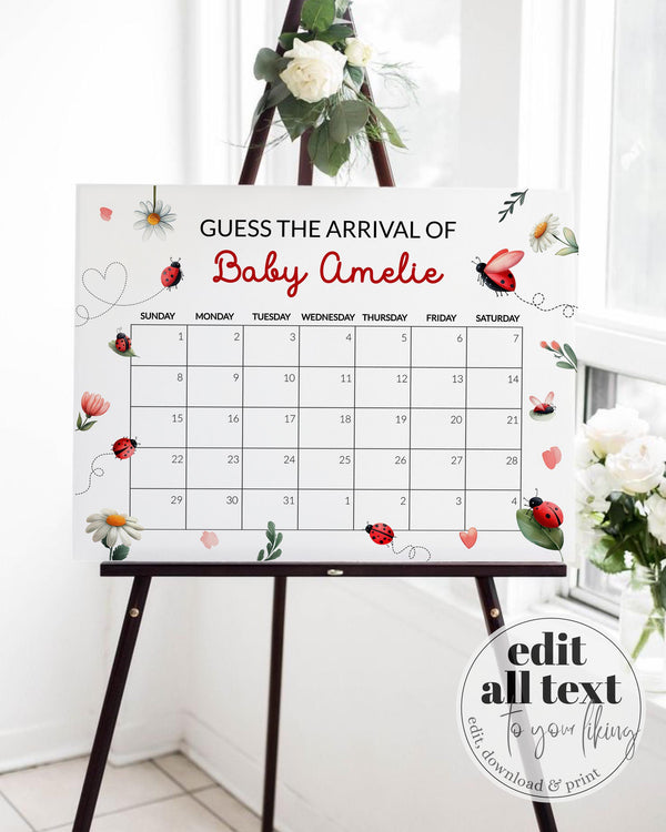 Ladybug Guess Due Date Sign, Baby Shower Arrival Calendar Game, Daisy Greenery - marryful.org