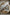 Modern Christmas Card Template with Photos for Familay Holiday Greetings Card