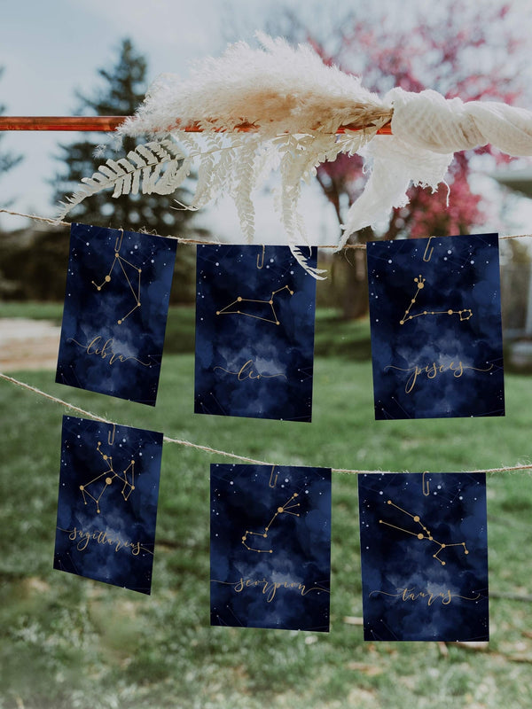 Celestial Wedding Decor Constellation Table Numbers with 12 Zodiac Signs, Seating Chart with Stars 066 - marryful